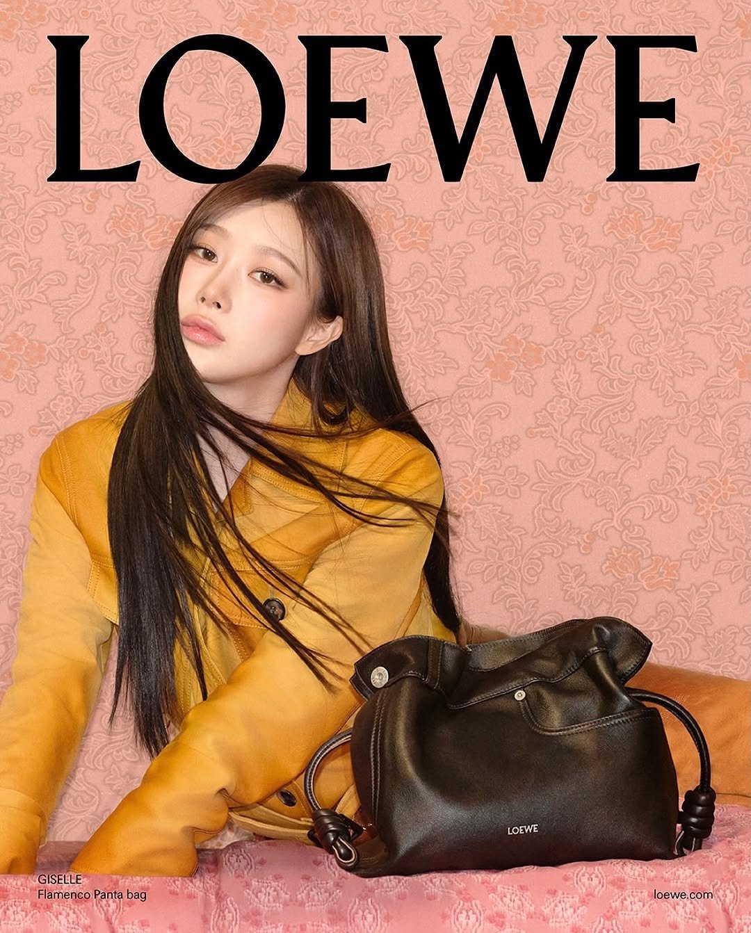 Photo shared by 김서울 Seoul Kim on November 14, 2025 tagging @loewe, and @aerichandesu. May be an image of one or more people, hair, magazine, poster and text that says 'LOEWE LOE WE GISELLE Flamenco Panta FlamencoPantabag bag LOEWE loewe.com com loewe.c'.