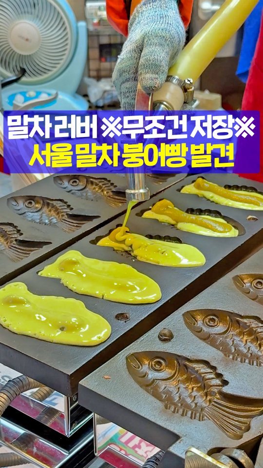 seoultravel 게시물 이미지: 서울 최초(?!) 💚초록 붕어빵💚 등장!!

💸종류 상관없이 3마리 2천원~
고구마붕...