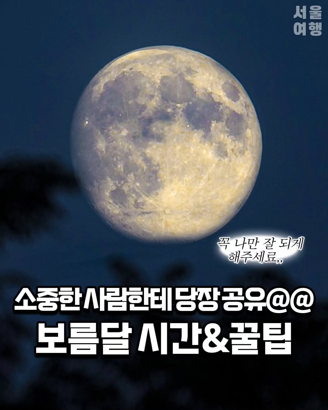 Photo by 서울여행 공식인스타 / 서울맛집 서울핫플 서울가볼만한곳 on October 03, 2025. May be an image of text that says '서울 울 서 여행 여행 행 여 꼭나만 꼭나만잘되게 꼭 나만 잘 되게 해주세로,, 소중한사람한테당짱공유@@ 람한테 당장 보름달 시간&꿀팁'.