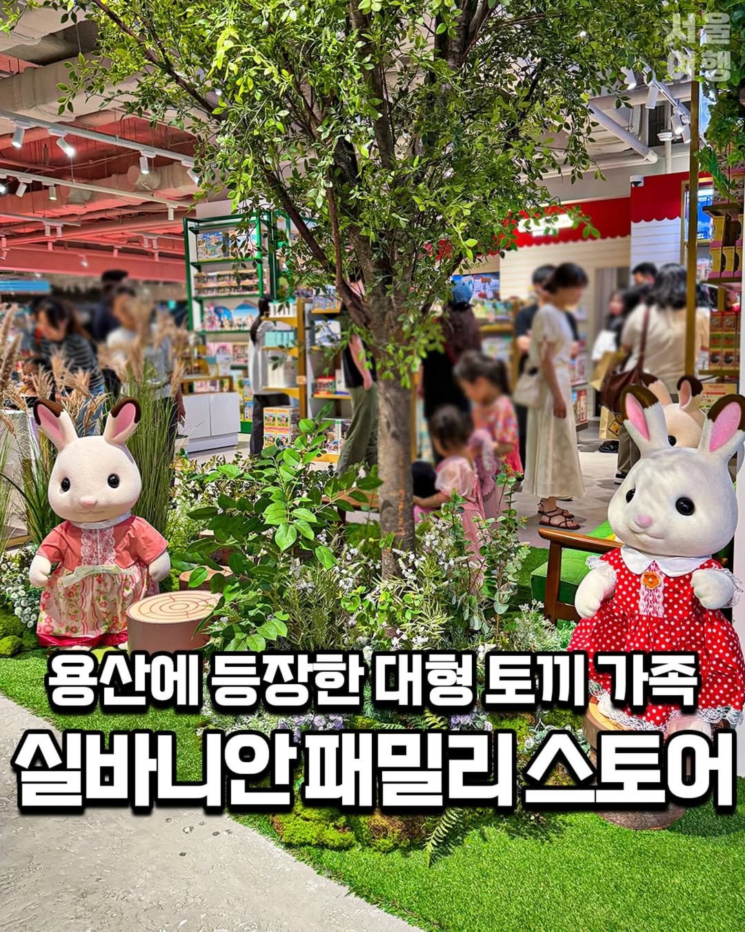 Photo by 서울여행 공식인스타 / 서울맛집 서울핫플 서울가볼만한곳 on August 18, 2025. May be an image of 5 people, plant and text.