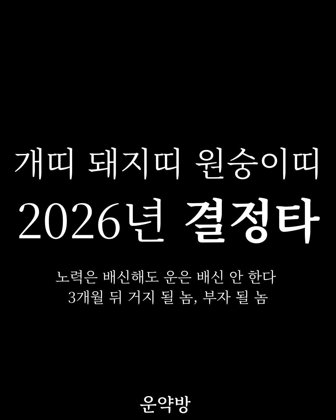Photo by 서아라 | 운약방 사주·인생 설계 전문가 on January 31, 2026. May be an image of text that says '개띠 돼지띠 원숭이띠 2026년 결정타 노력은 배신해도 운은 배신 안 한다 3개월 뒤 거지 될 놈, 부자 부자될놈 될 놈 운약방'.