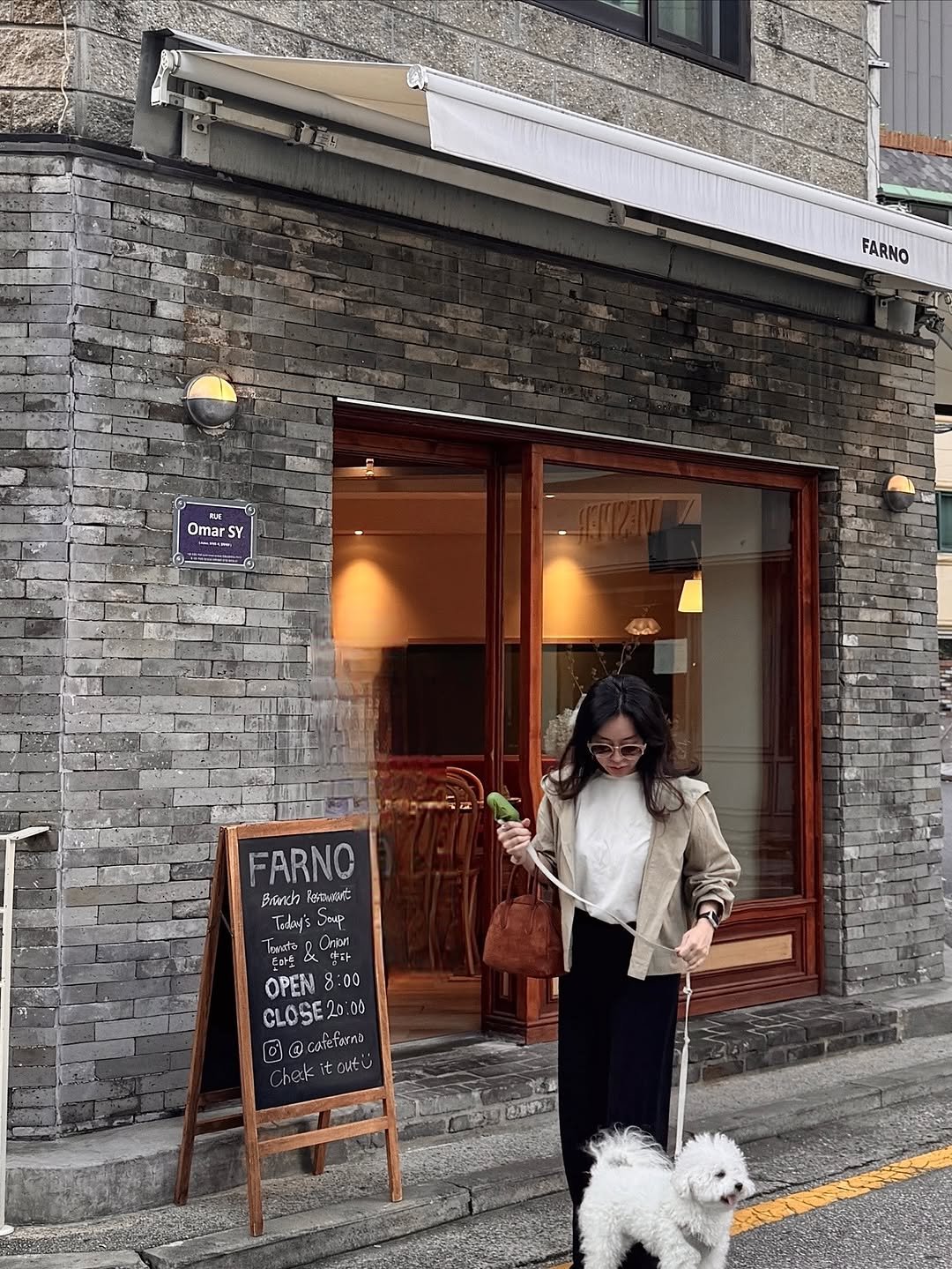 Photo by sera jung on October 16, 2025. May be an image of Bedlington terrier, Maltese, duffle coat, cornflower and text.