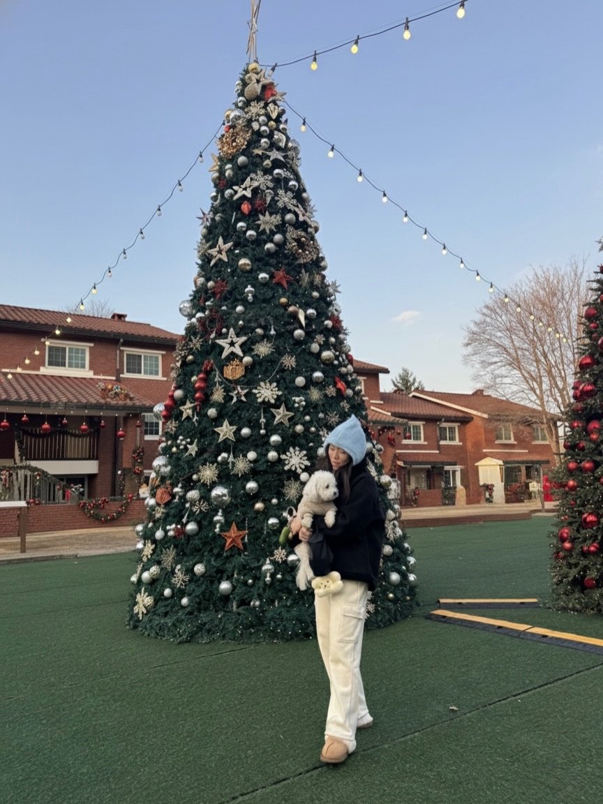 Photo by sera jung on December 24, 2025. May be an image of cocker spaniel, Maltese, Bedlington terrier, christmas tree, tinsel, park and text.