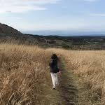 omyjeju 프로필 사진