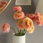 mings1_ 프로필 사진