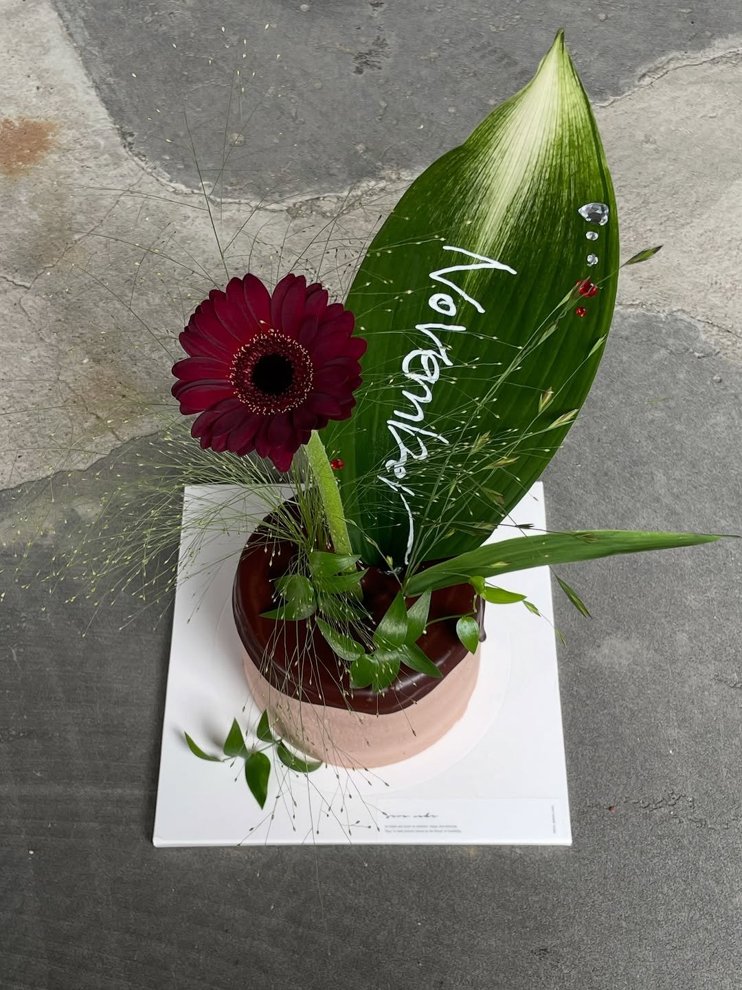 Photo shared by 세라케이크/어버이날케이크/크리스마스케이크/운정케이크/운정카페/파주케이크/플라워케이크 on October 30, 2025 tagging @sera_cake_, and @sera__cafe__. May be an image of house plant, flower pot, prairie gentian and text.