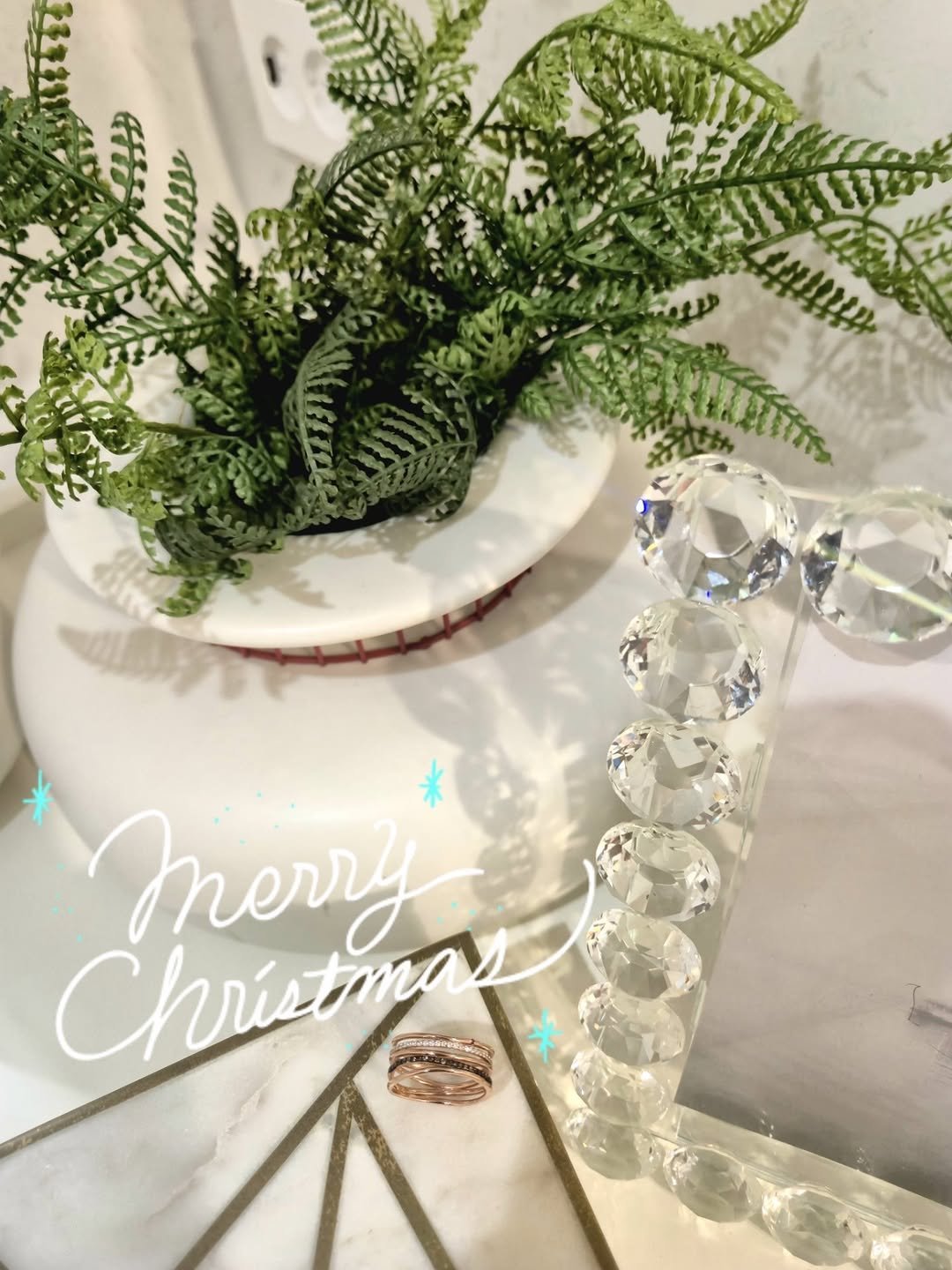 Photo shared by 세라마미🕊 꿈꾸는 하루, 도전하는 삶 on December 21, 2025 tagging @goldpang_news, and @goldpang_shop. May be an image of sink, house plant, placemat and text.