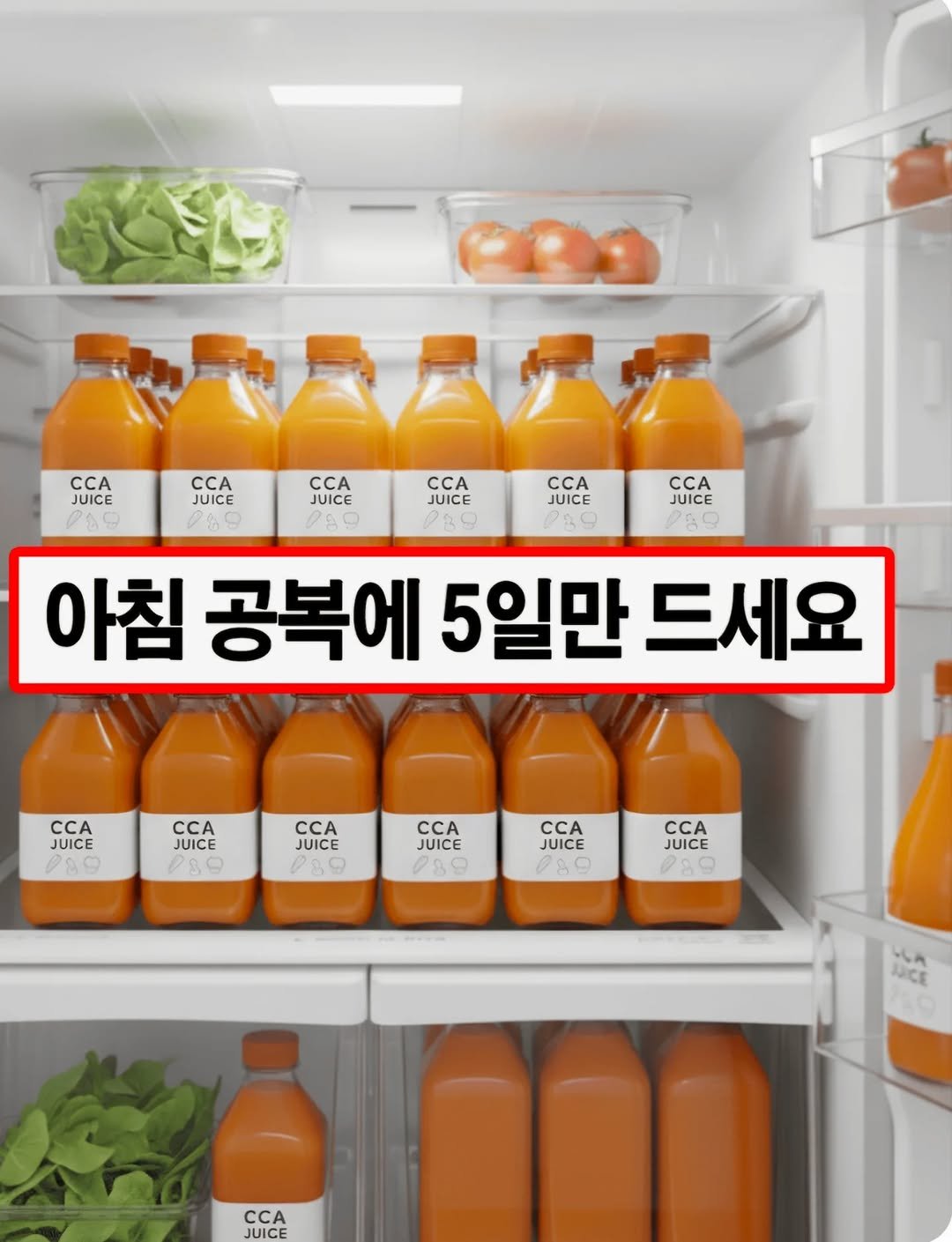 Photo by 세라마미🕊 꿈꾸는 하루, 도전하는 삶 on February 17, 2026. May be an image of refrigerator, juice, bottle and text that says 'CCA JUICE CCA JUICE CCA JUICE CCA JUICE PR 0 CCA JUICE CCA JUICE Ri 아침 공복에 5일만 드세요 CCA JUICE CCA JUICE CCA JUICE CCA JUICE CCA JUICE CCA JUICE NCE JUICE'.