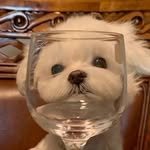 serimiya_ 인스타그램 프로필 사진