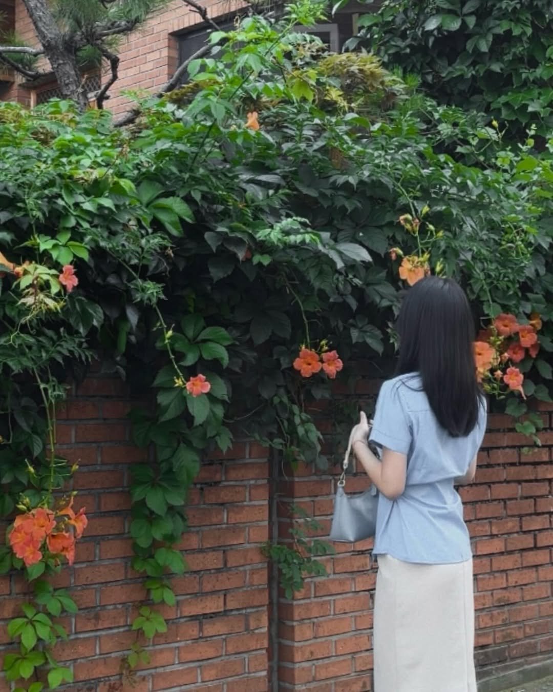 Photo by 김세림 on July 17, 2024.