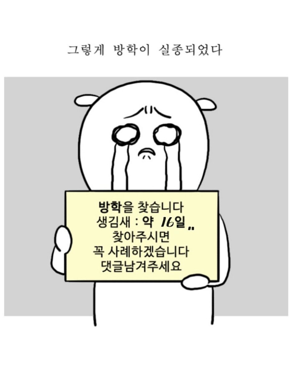 Photo by 김세림 on August 15, 2025. May be a doodle of text that says '그렇게 방학이 실종되었다 방학을 찾습니다 생김새 약 16일.. 찾아주시면 꼭 사례하겠습니다 댓글남겨주세요'.