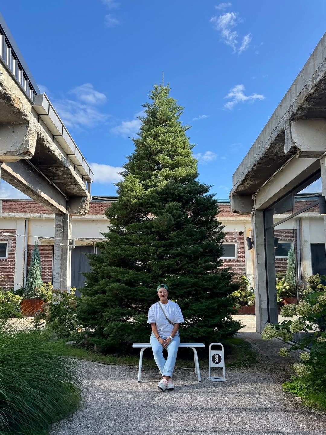 Photo by 박세리 on September 18, 2025. May be an image of 1 person, christmas tree, outdoors and text.