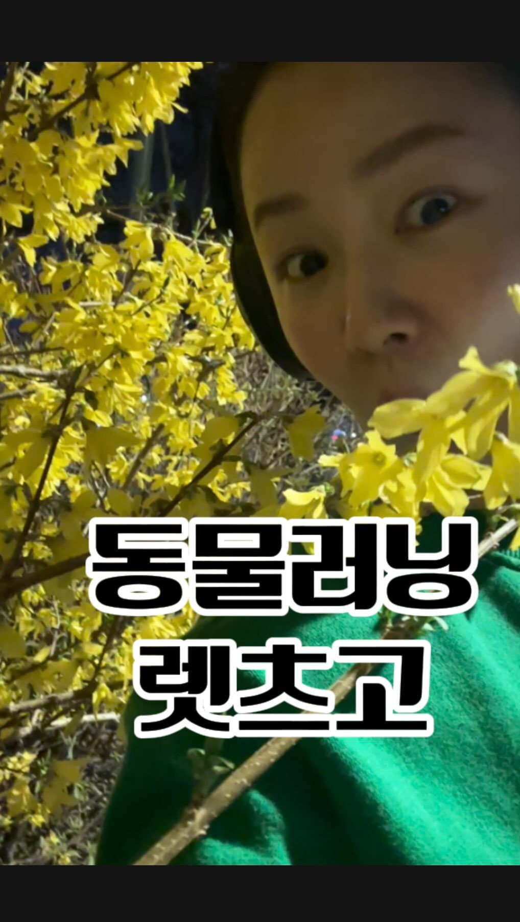 seul521 게시물 이미지: 💪내 러닝 페이스, 동물로 보면 몇 급?✌️
🏃‍♀️ 1km 페이스 = 동물 속도...