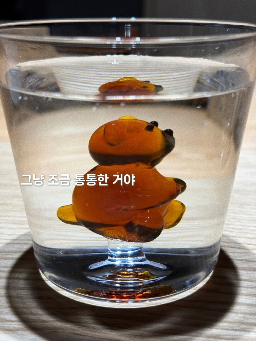Photo by 슬슬 l 집꾸미기 • 예쁜살림 • 소품추천 on October 01, 2025. May be an image of drink, carafe and text.