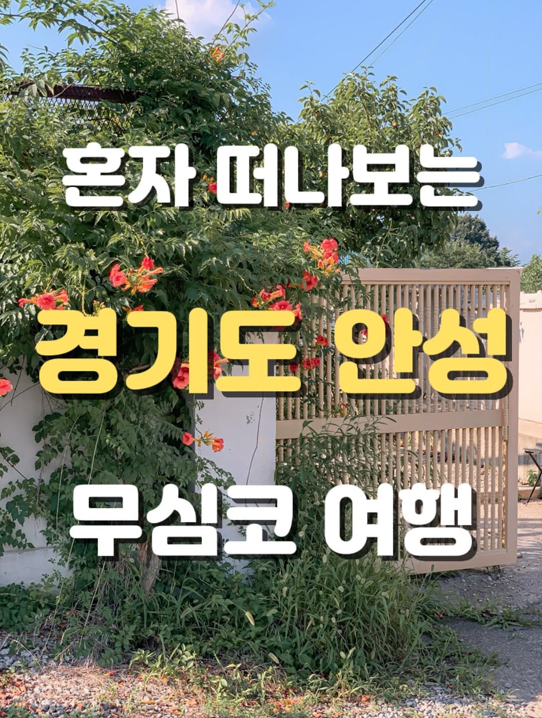 Photo shared by 승이 | 여행 , 장소 on August 11, 2025 tagging @anseong_city. May be an image of text that says '혼자 떠나보는 경기도 안성 MILENEr 무심코 여행'.
