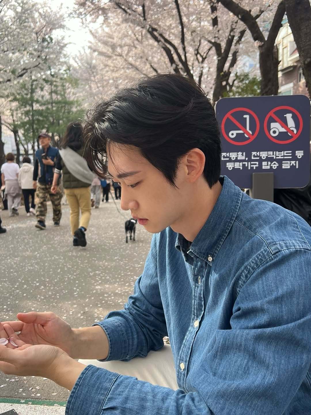 seungwon.ji 게시물 이미지: 🌸
.
.
.
#벚꽃 #벚꽃명소 #석촌호수 #한강 #봄