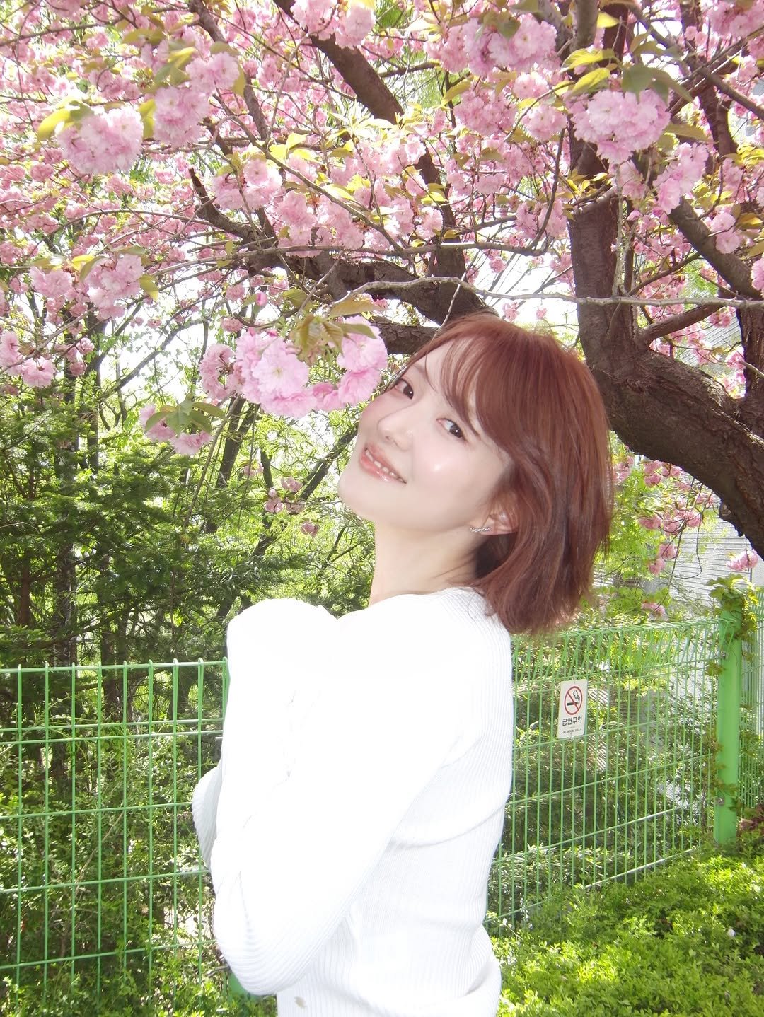 seyoung_10 게시물 이미지: 🌸