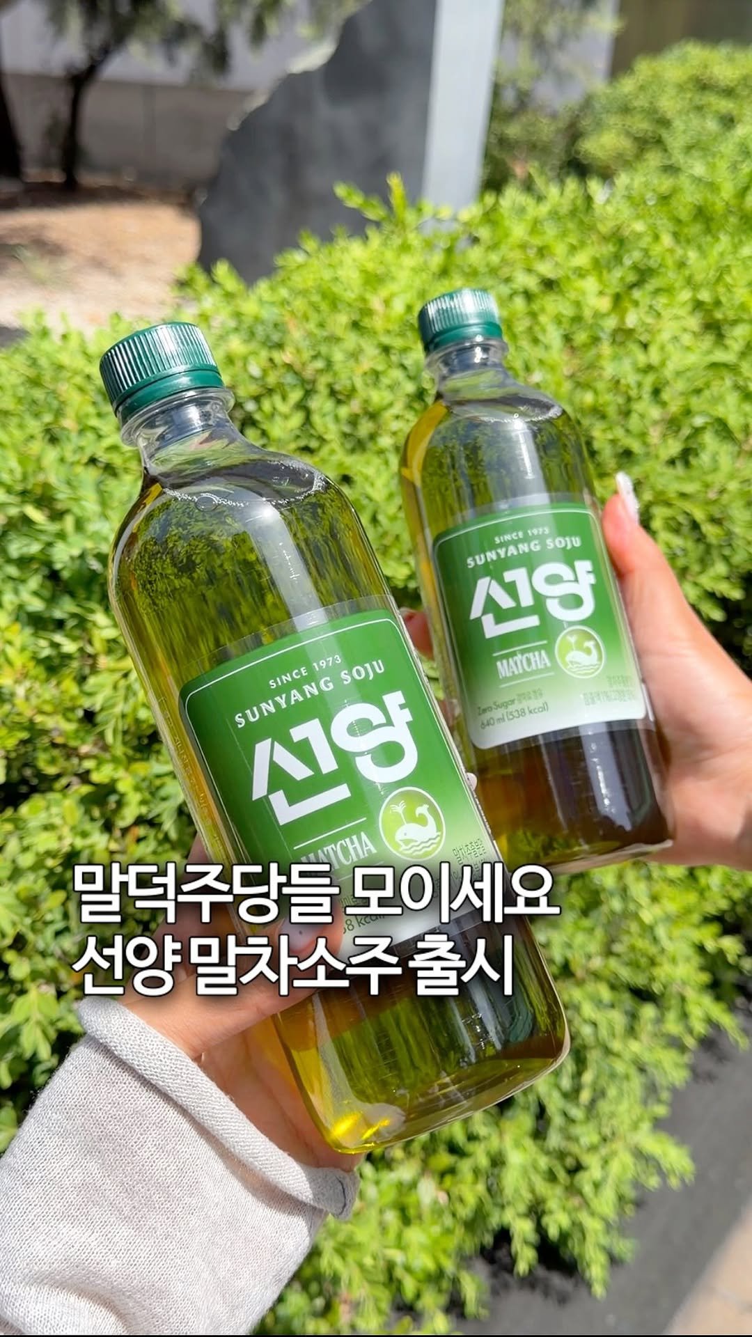 sh.cookkook 게시물 이미지: 말덕들이 환호할 >>말차소주<< ㅁㅊㄷ💚

ㅘㅋㅋㅋ 이거 최초 아닌가요?
지난해...