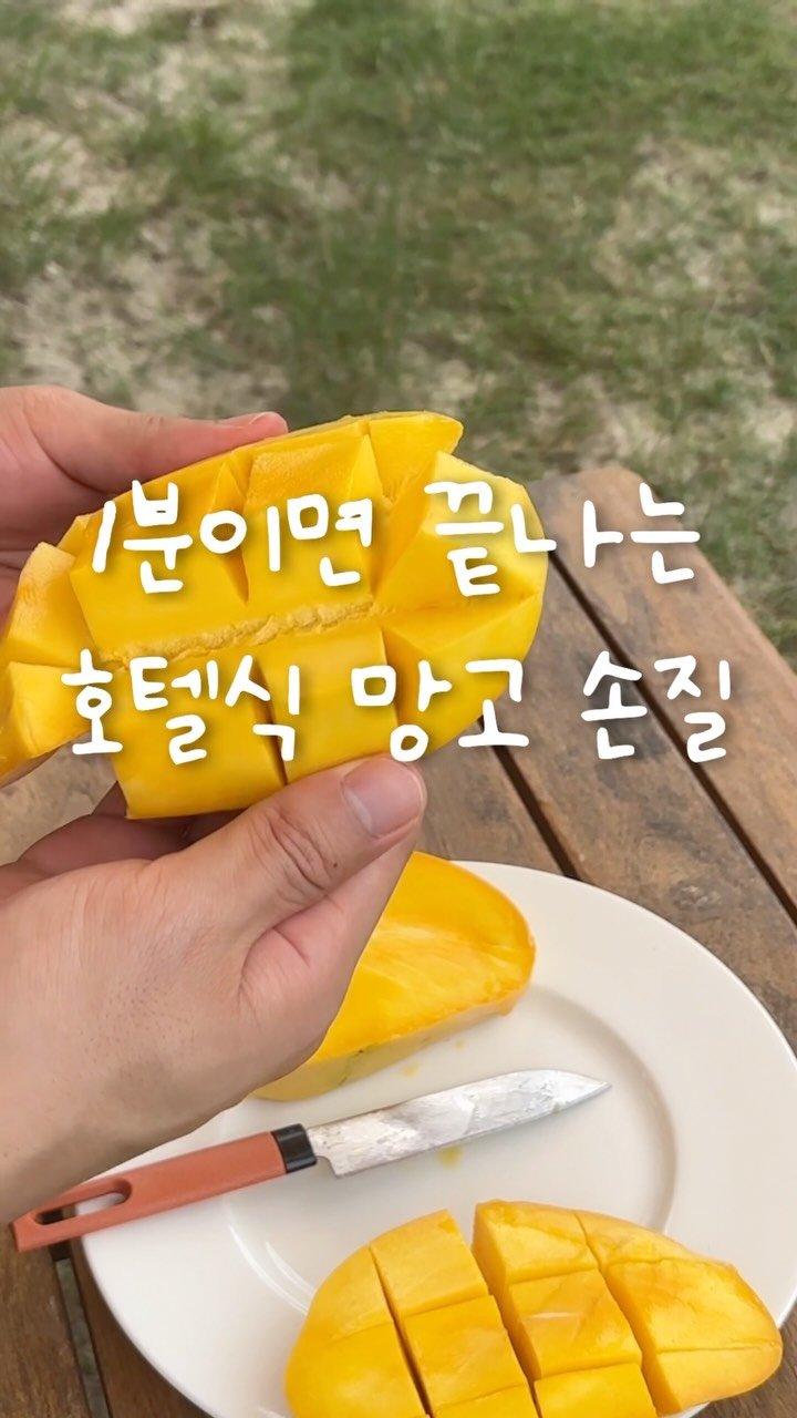 shabang_bubu 게시물 이미지: 휴양지에서 망고 잔뜩 샀는데 손질하기 귀찮으셨죠? 망고 손질의 기본 중에...