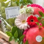daldam_fruit 프로필 사진
