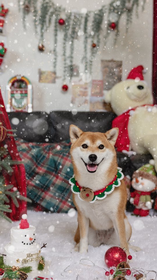 she1004love 게시물 이미지: #메리크리스마스🎄