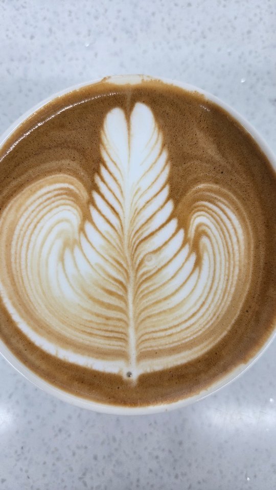 she1004love 게시물 이미지: #로제타🌿  #latteart 
.

결욕심을 좀 줄이쟈 😅