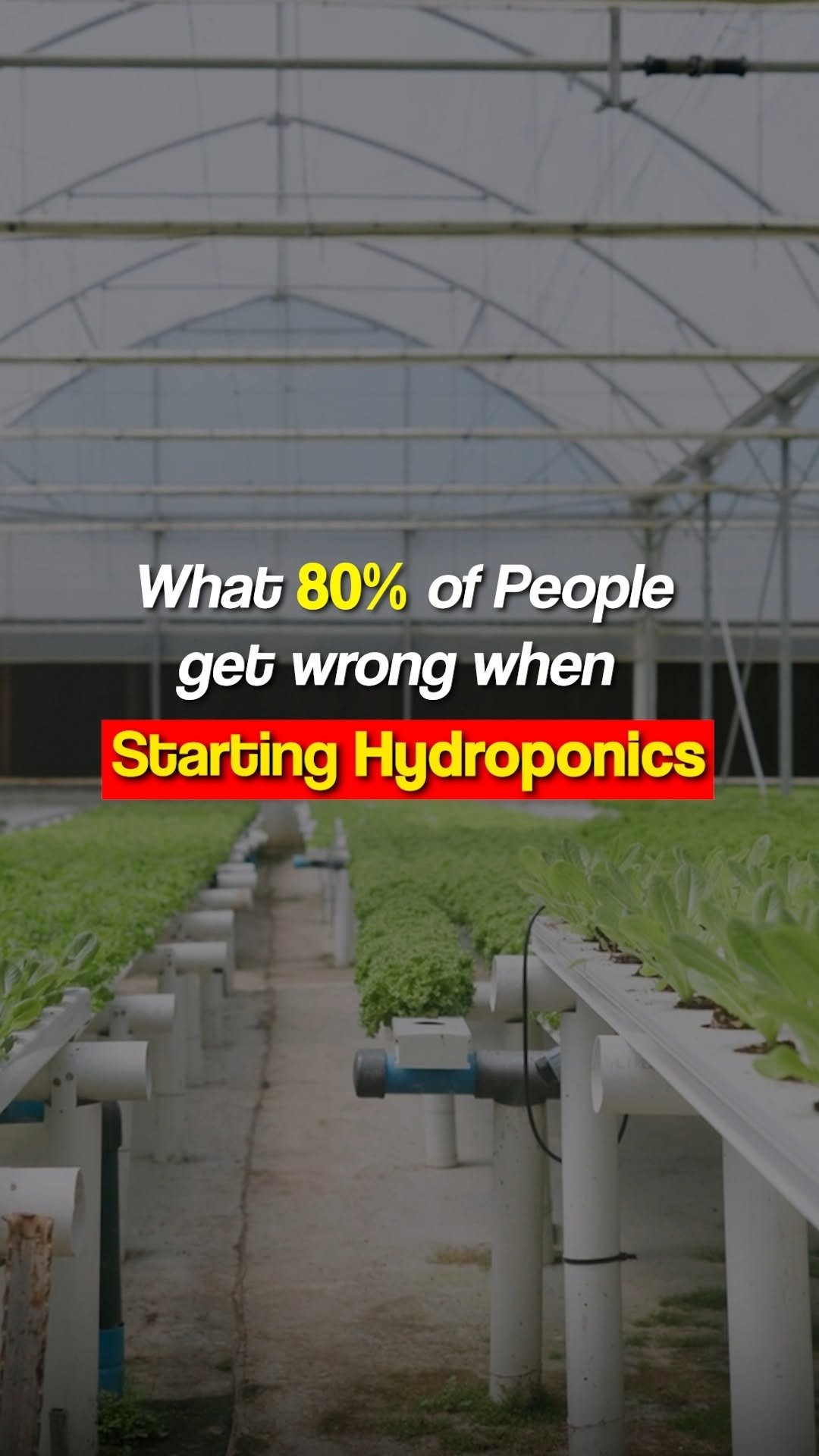 sheelbiotechltd 게시물 이미지: Comment "HYDRO" for Complete Setup & ROI...