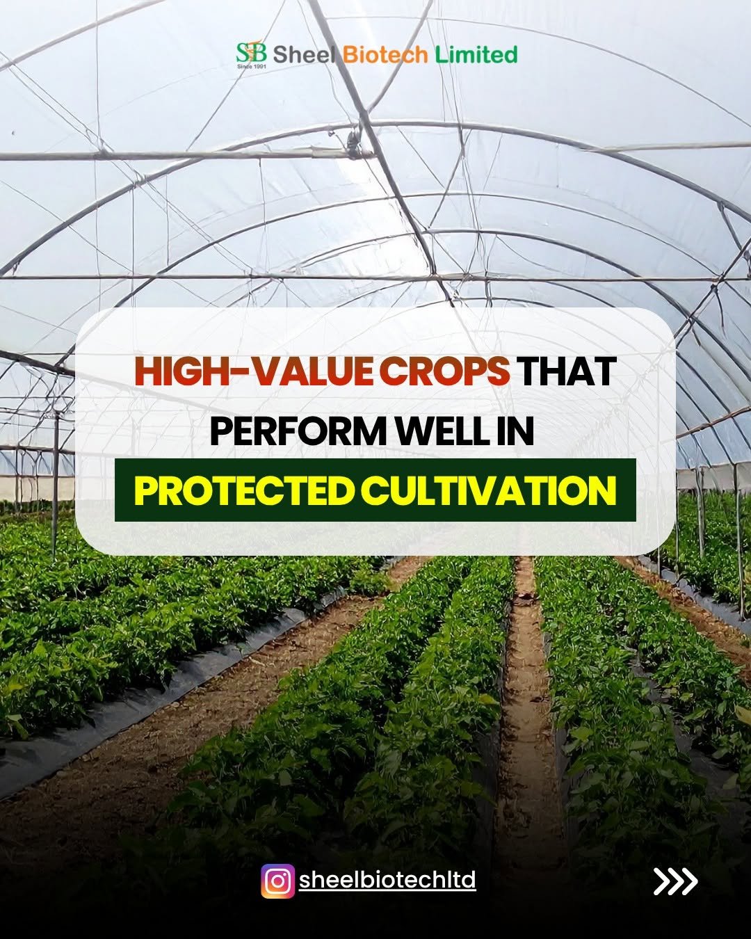 sheelbiotechltd 게시물 이미지: Comment "CROP" to discover which high-value...