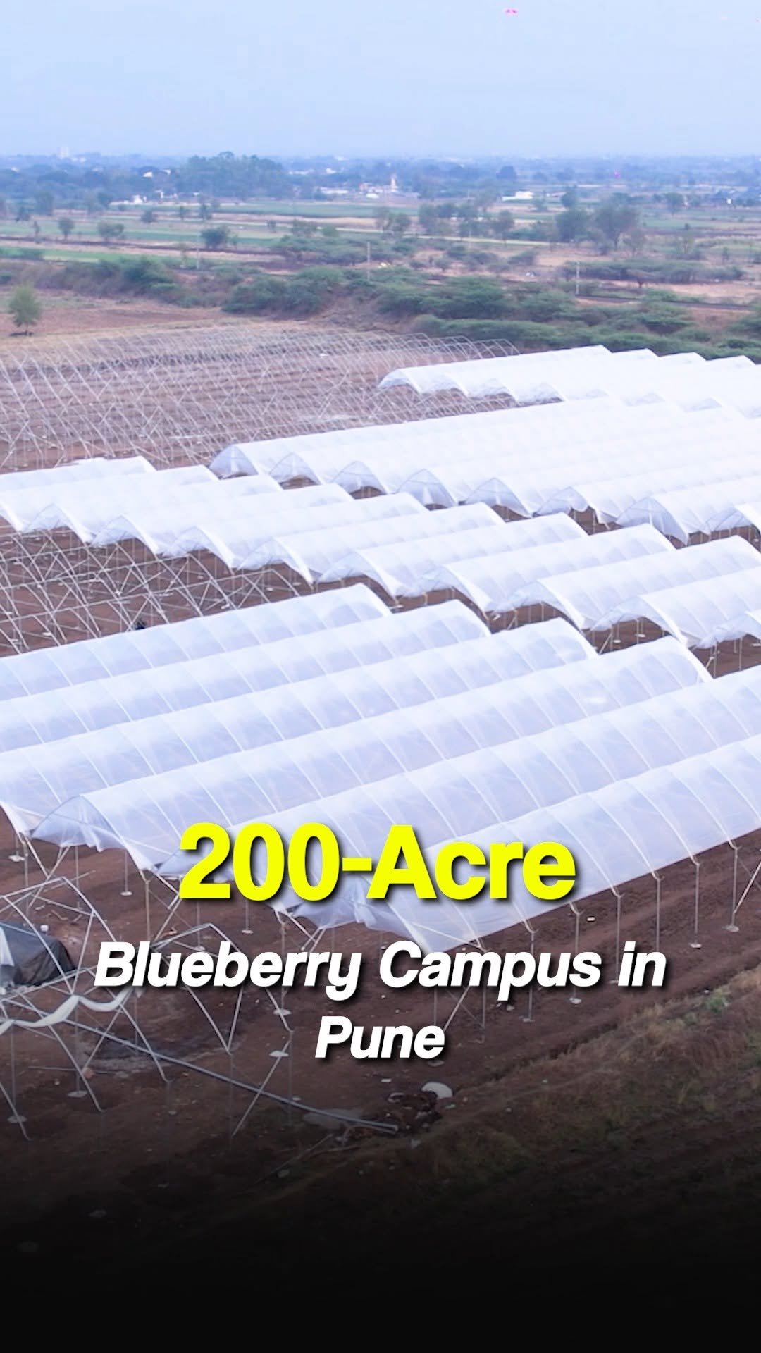 sheelbiotechltd 게시물 이미지: To know complete project details and...