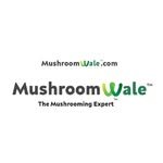 mushroomwale 프로필 사진