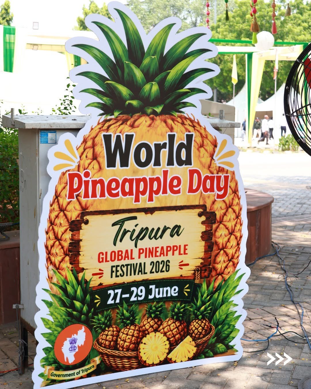 sheelbiotechltd 게시물 이미지: Held on the occasion of World Pineapple Day at...