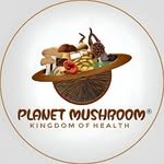 planetmushroom 프로필 사진