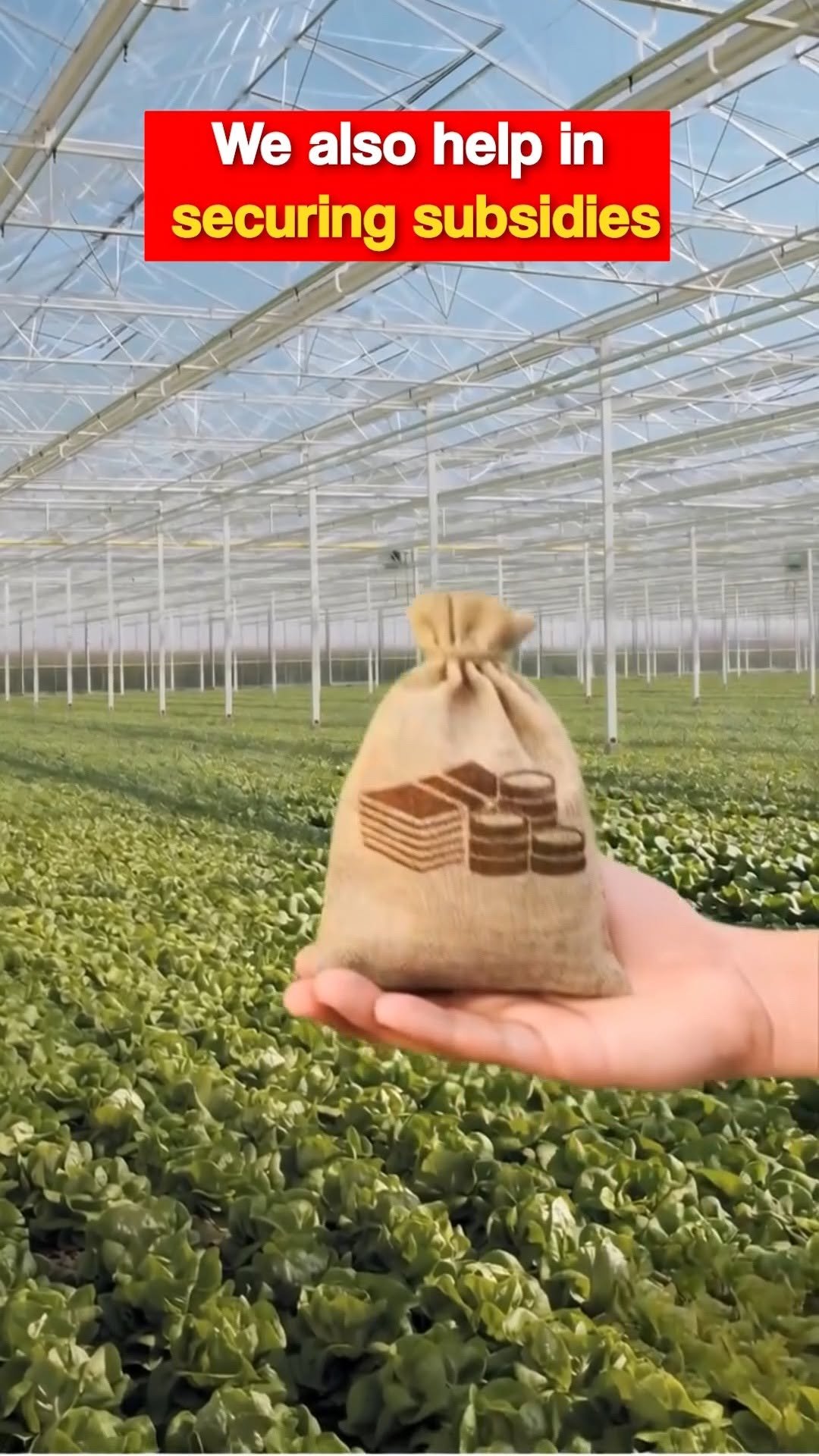 sheelbiotechltd 게시물 이미지: Comment “GREEN” — our team will connect with...