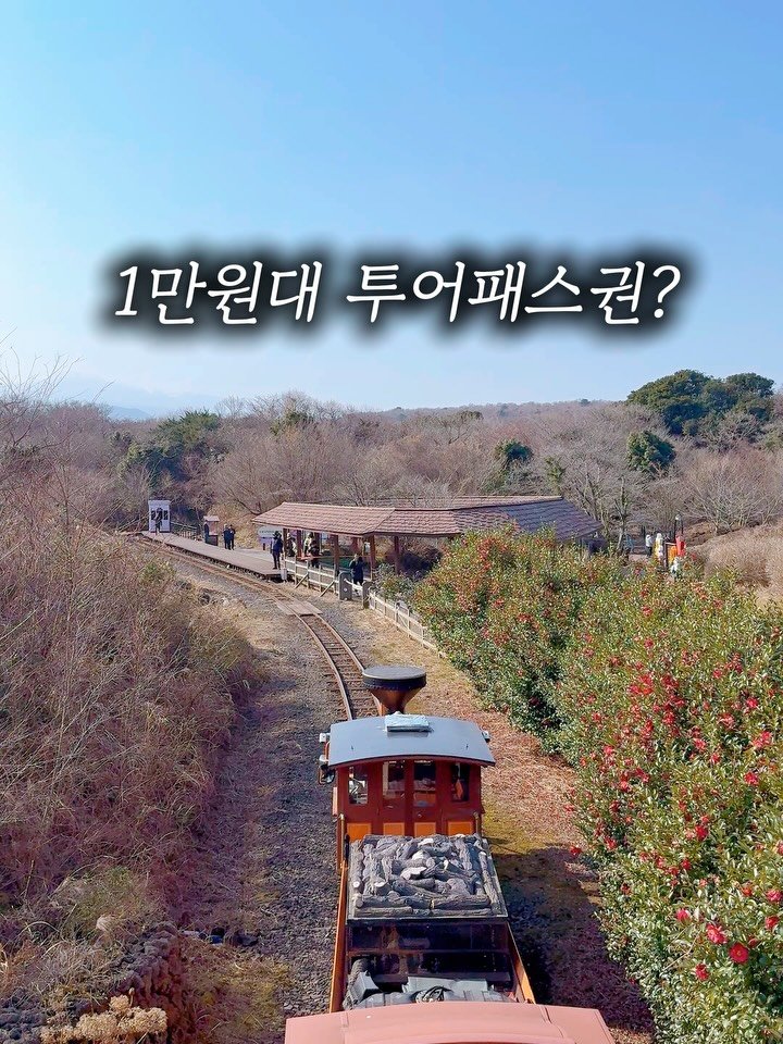 shej586 게시물 이미지: 34%할인!! 최초공구!!
네*버보다 훨씬 저렴하게 챙겨가세요
제주 공구는 진짜...