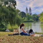 boro.boro.bong 프로필 사진