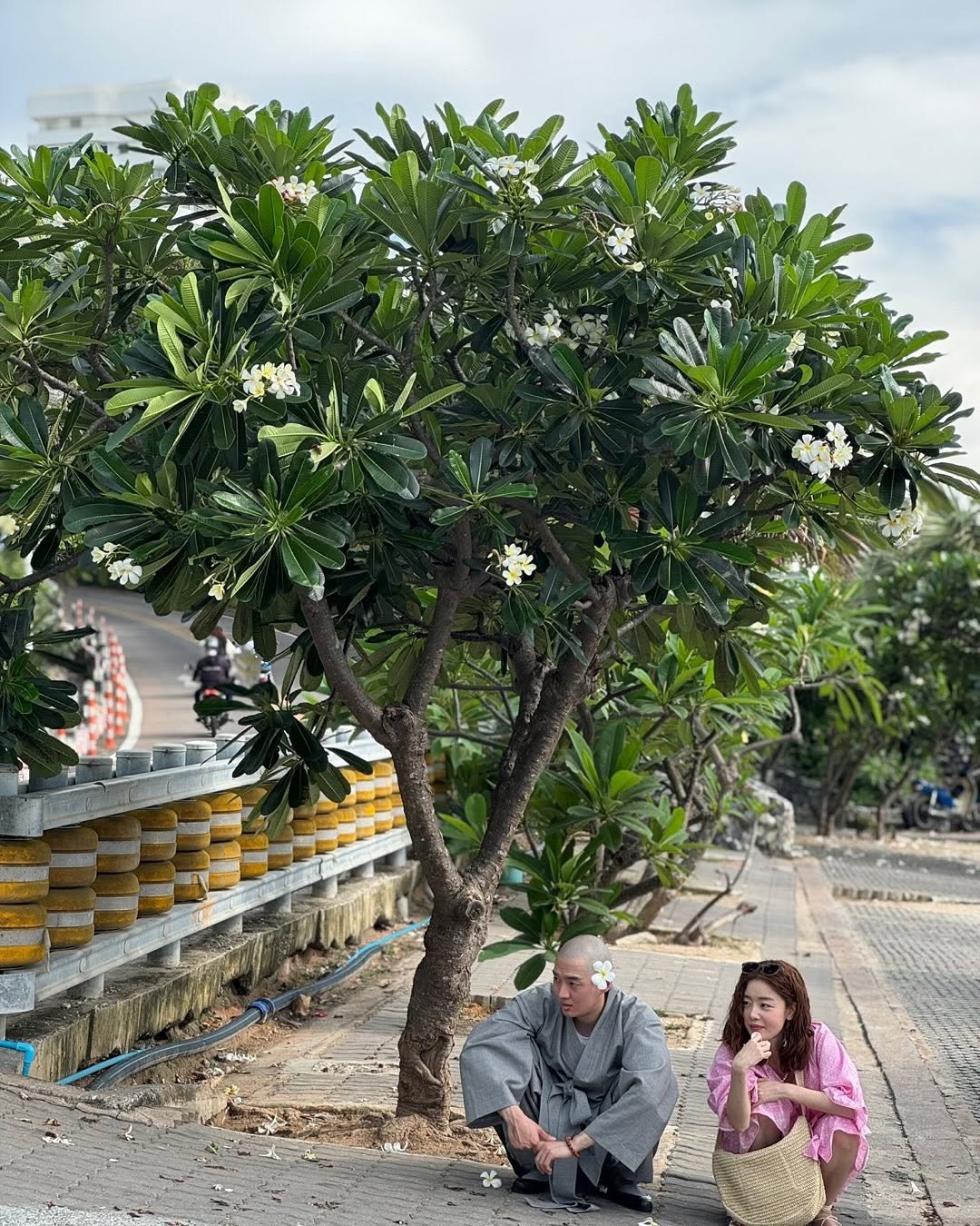 Photo by shh daily on November 20, 2025. May be an image of one or more people, papaya, tree, outdoors and text.