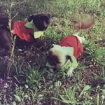 minyoungism 프로필 사진