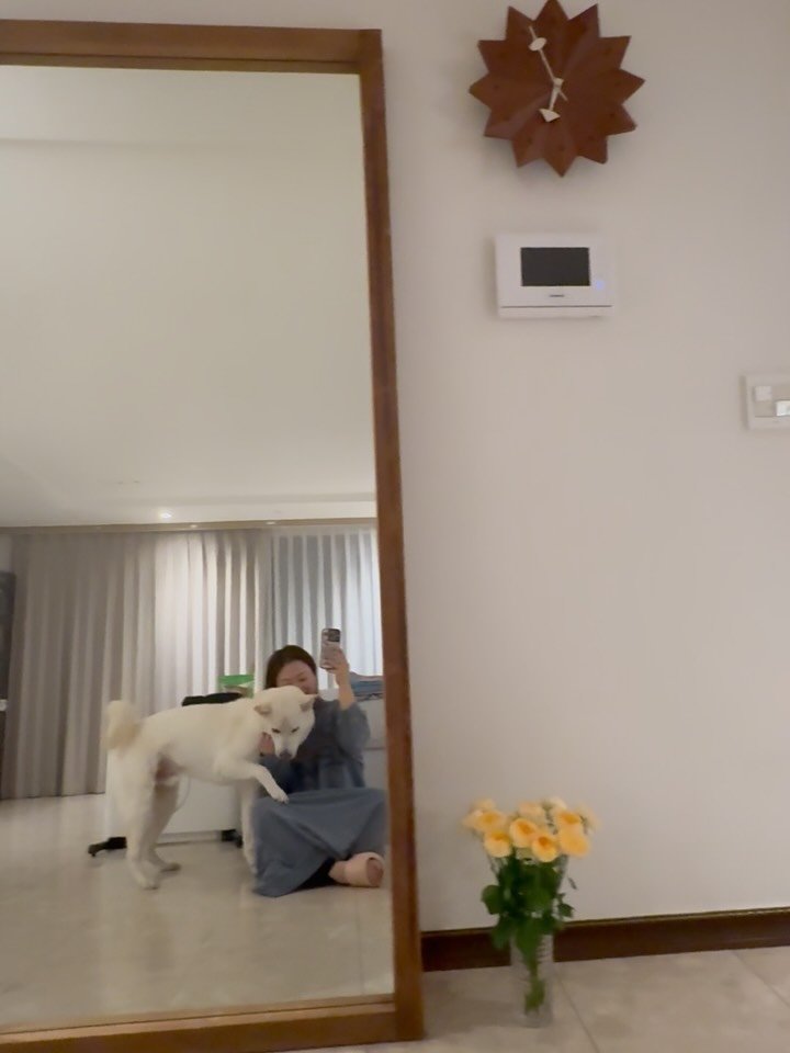 shimjinhwa 게시물 이미지: -
나와 우리 강아지😍🐶💕