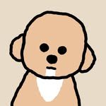 inoo.ari.duri 프로필 사진