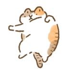 seeng_seeng_ 프로필 사진