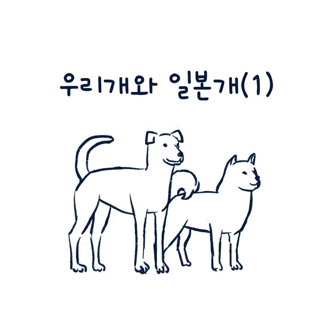 Photo by 외국의 시니 on October 07, 2024.