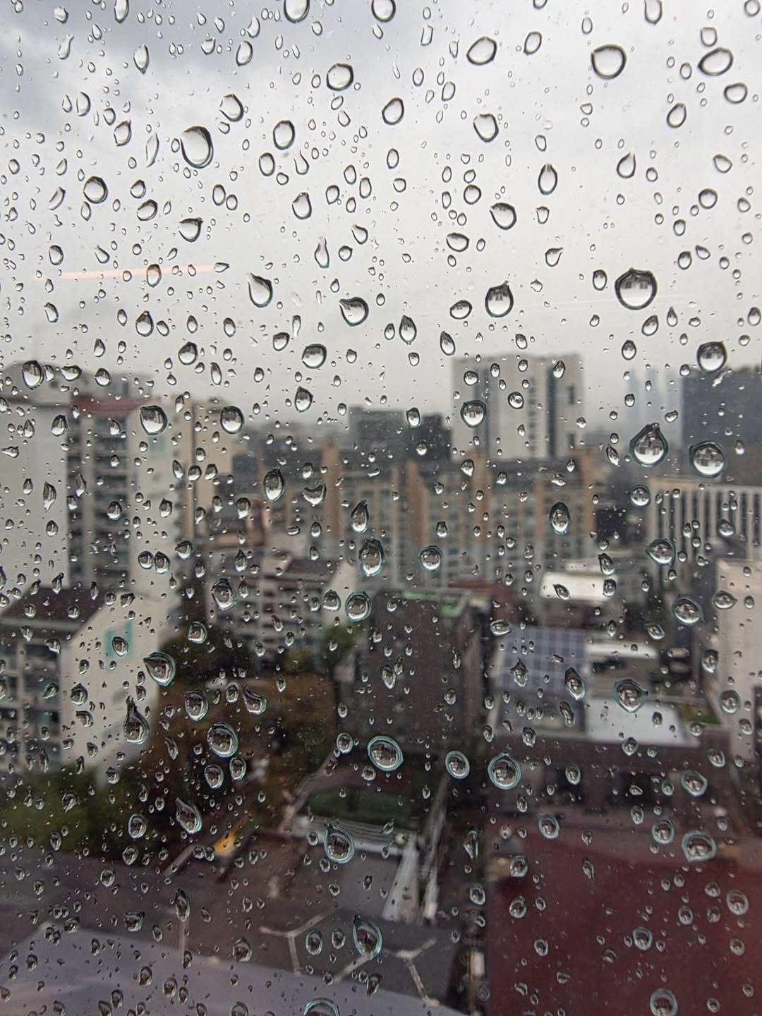 Photo by 신애라 on September 23, 2025. May be an image of fog, skyscraper, buildings, window and text.