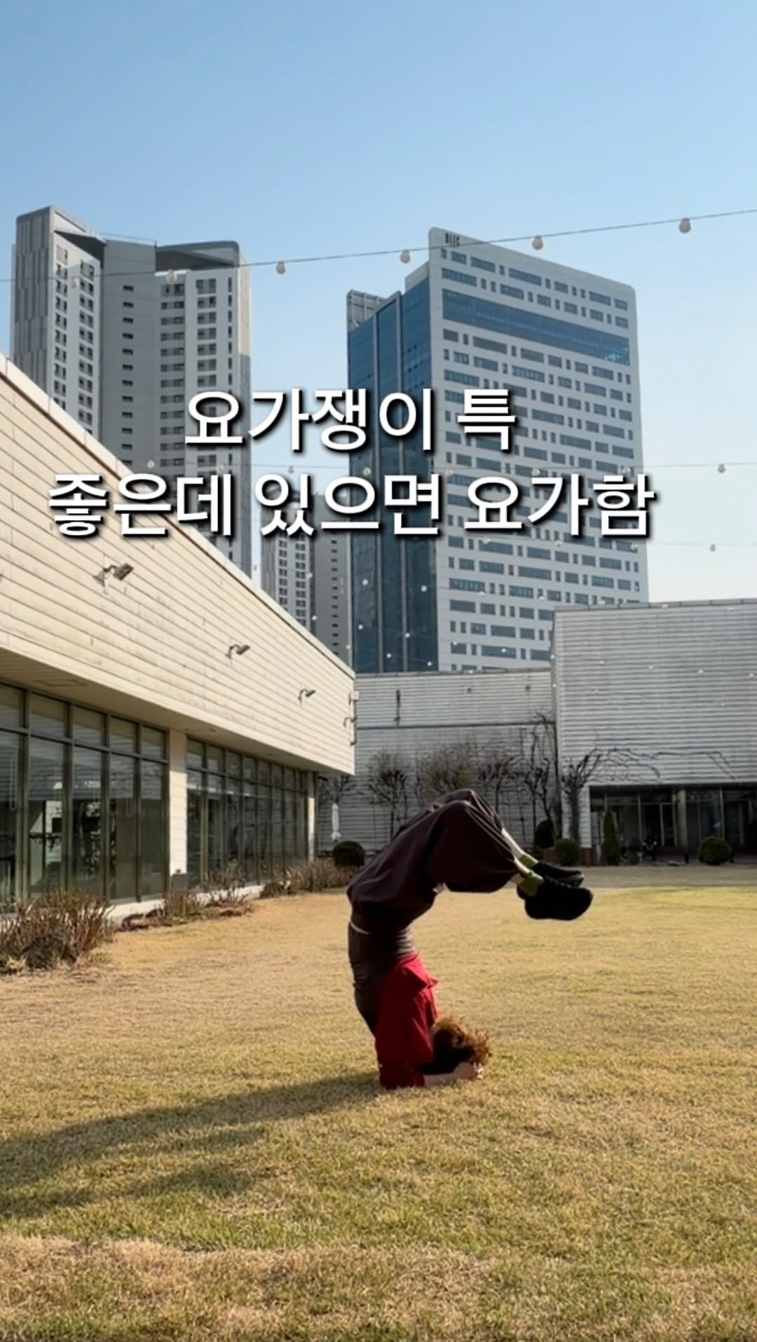 shinhyeaa 게시물 이미지: #그냥해야돼#keepgoing #yoga

Namaste🙏