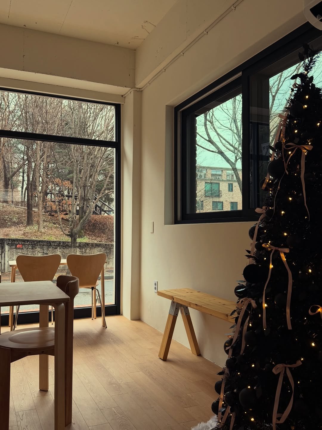 Photo shared by 김신혜 on December 23, 2025 tagging @bcmr_shelter. May be an image of christmas tree, window and text.