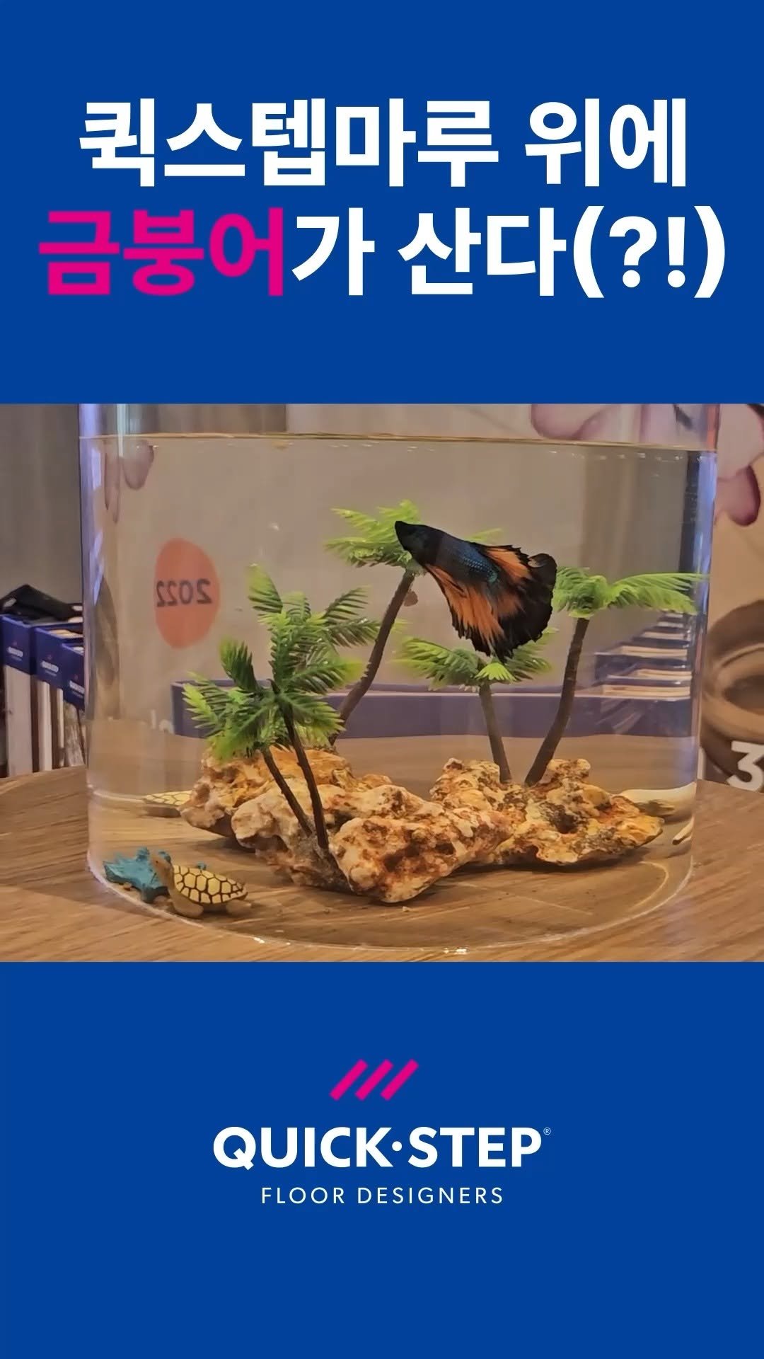 shinmyeongf 게시물 이미지: 태국에서 열린 Quick-Step 아시아컨퍼런스.
행사장 한쪽에 조금 특별한...