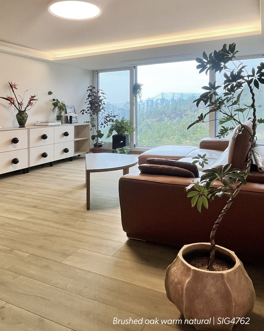 Photo by 퀵스텝 마루 on December 19, 2025. May be an image of lighting, furniture, living room, indoors, office and text.