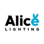 alice_lighting_ 프로필 사진