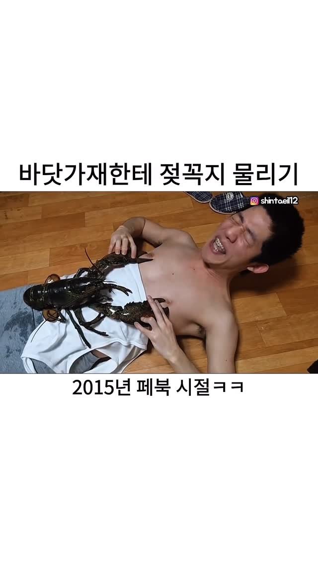 shintaeil12 게시물 이미지: 바닷가재한테 젖꼭지 물리기