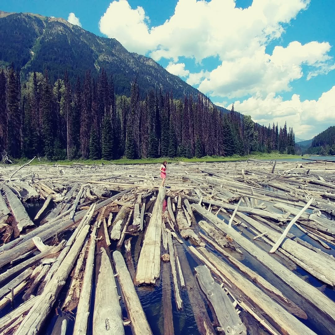 Photo by 행복부자 샤이니 | 건강. 마인드. 영어 on March 31, 2026. May be an image of raft, lumberyard and text.