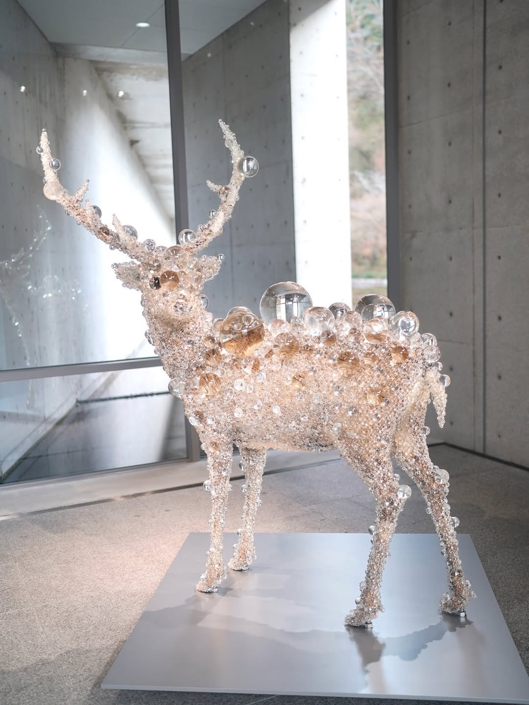 Photo by shota on December 25, 2025. May be an image of deer, sculpture and text.